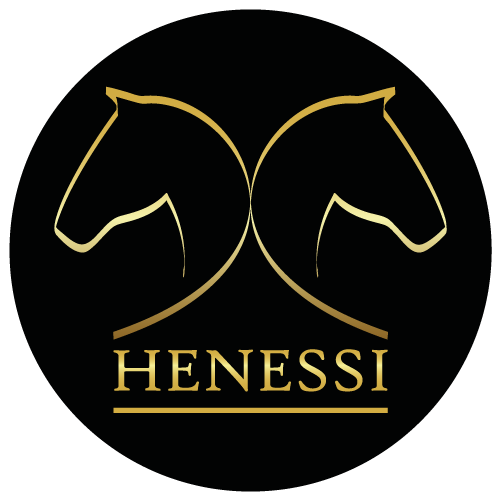 Stall Henessi - Uppfödning & inackordering av fölston och unghästar